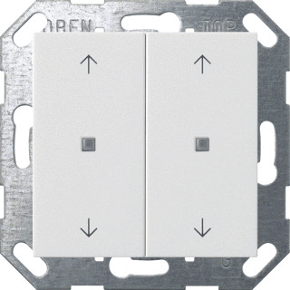 Gira KNX WIP 2V S55 ZWIT