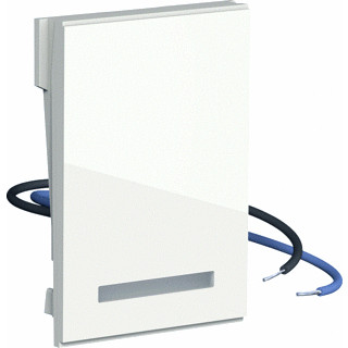 Gira LED OB BEH S55 CWG