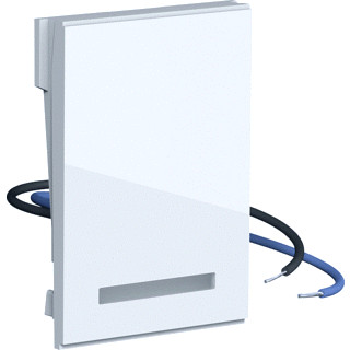 Gira LED OB BEH S55 ZWG