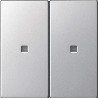 Gira BEDELEM S3000 WIP 2V RVS