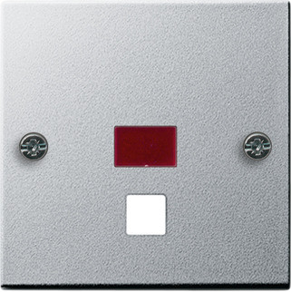 Gira System 55 Across programs Afd. CTRL.V. groot treksch./-drukc. system 55 KL.alum.(gel.)