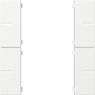 Gira System 55 Across programs Wippenset 2-V tastsens.4.55 plus Z.wit