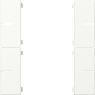 Gira System 55 Across programs Wippenset 2-V tastsens.4.55 plus Z.wit M