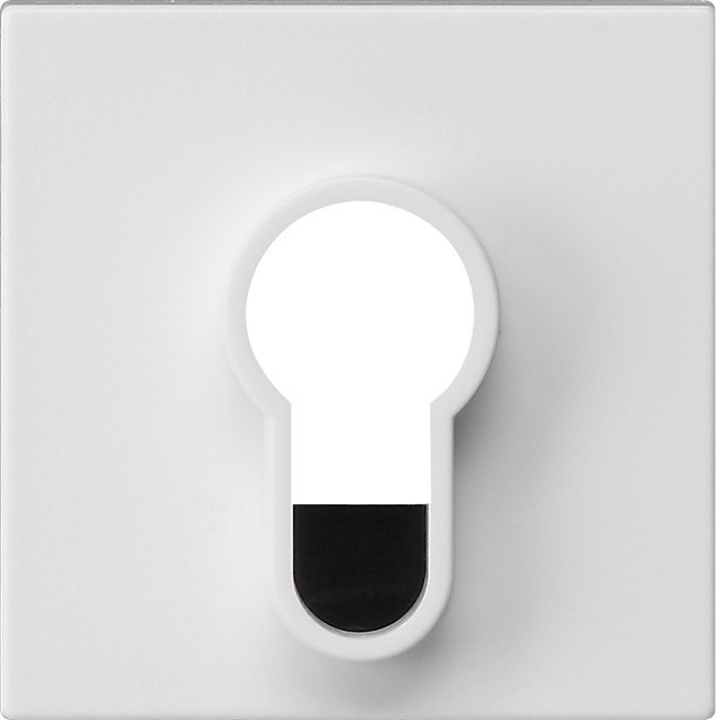 Gira System 55 Across programs Afd. sleutelsch./-drukc. Z/opdr. system 55 Z.wit M