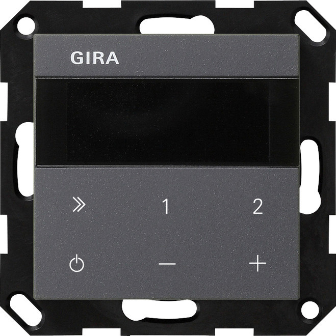 Gira IB RADIO IP S55 ANT