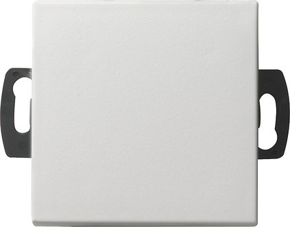 Gira System 55 Across programs Drukc.Korte S. 42 V maakc. system 55 Z.wit