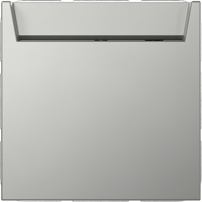 Gira System 55 Across programs Hotel-Card maakc. + N-klem system 55 edelstaal(gel.)