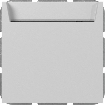 Gira System 55 Across programs Hotel-Card maakc. + N-klem system 55 grijs M