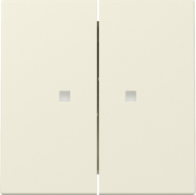 Gira System 55 Across programs Wip 2-V CTRL.V. system 55 CR.wit