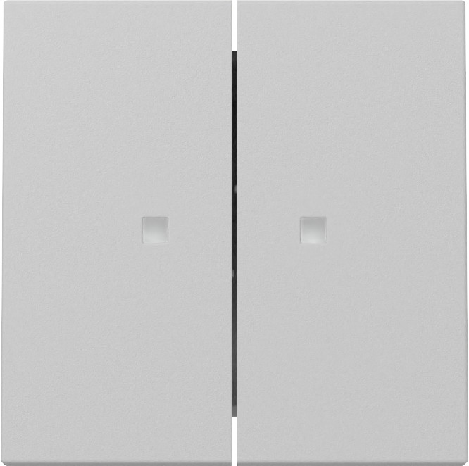 Gira System 55 Across programs Wip 2-V CTRL.V. system 55 grijs M