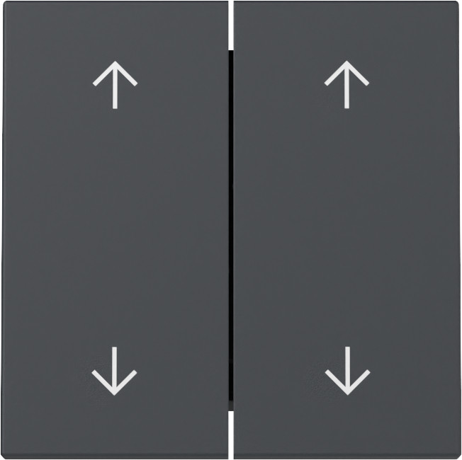 Gira System 55 Across programs Wip 2-V pijlen system 55 antraciet