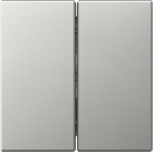 Gira System 55 Across programs Wip 2-V recht system 55 edelstaal