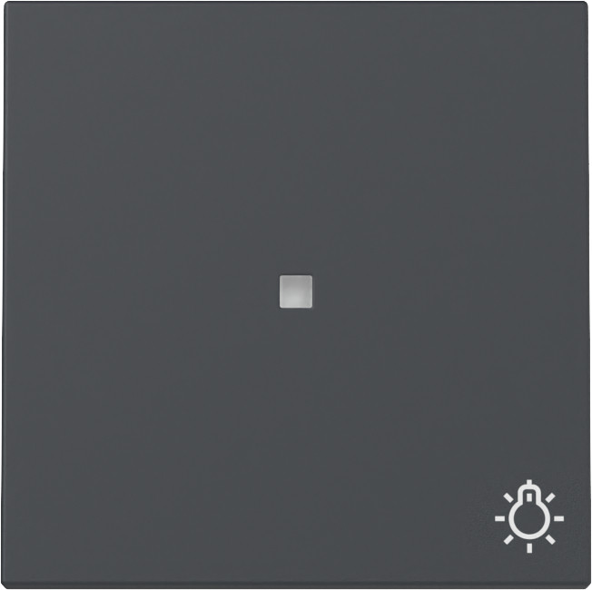 Gira System 55 Across programs Wip CTRL.V. + SYM.licht system 55 antraciet