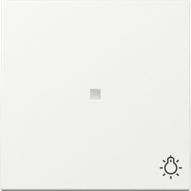 Gira System 55 Across programs Wip CTRL.V. + SYM.licht system 55 Z.wit