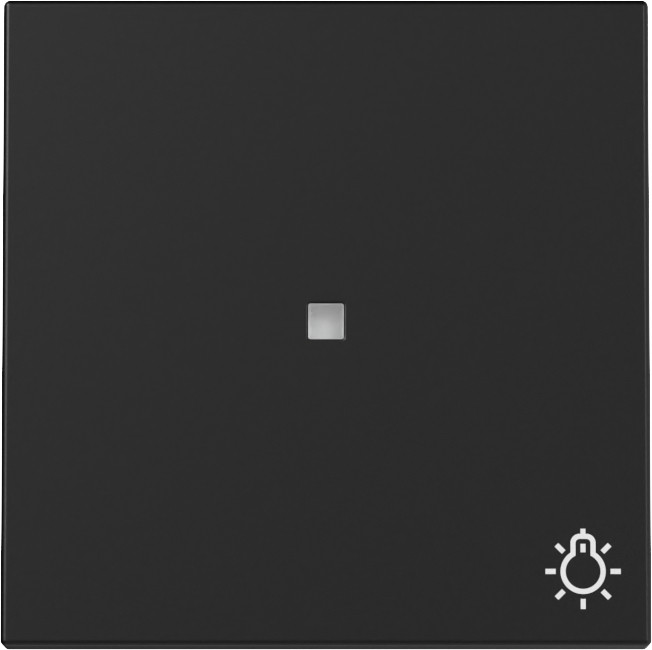 Gira System 55 Across programs Wip CTRL.V. + SYM.licht system 55 zwart M