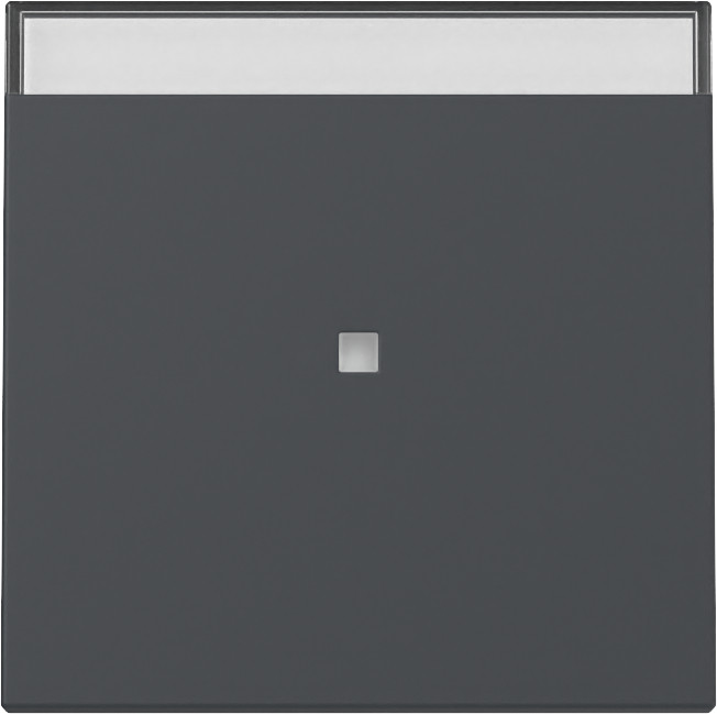 Gira System 55 Across programs Wip CTRL.V. + TK system 55 antraciet