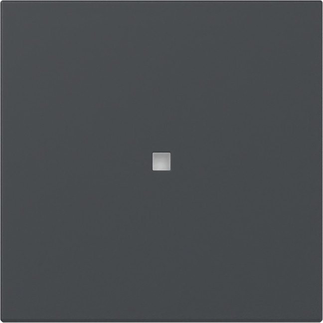 Gira System 55 Across programs Wip Recht CTRL.V. system 55 antraciet