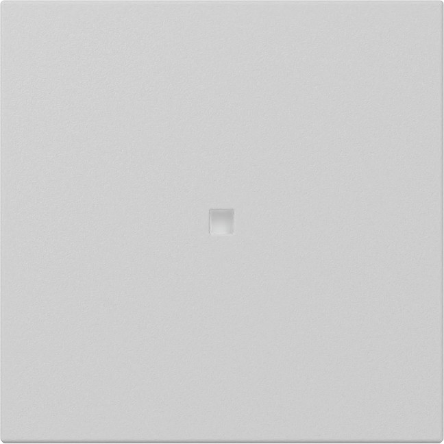 Gira System 55 Across programs Wip Recht CTRL.V. system 55 grijs M