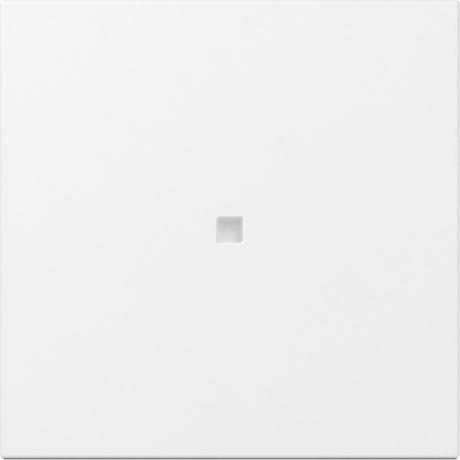 Gira System 55 Across programs Wip Recht CTRL.V. system 55 Z.wit