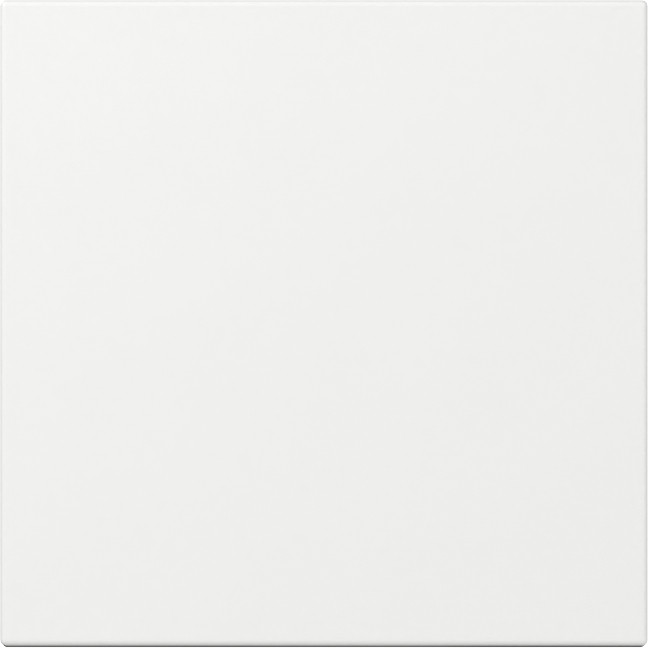 Gira System 55 Across programs Wip Recht system 55 Z.wit