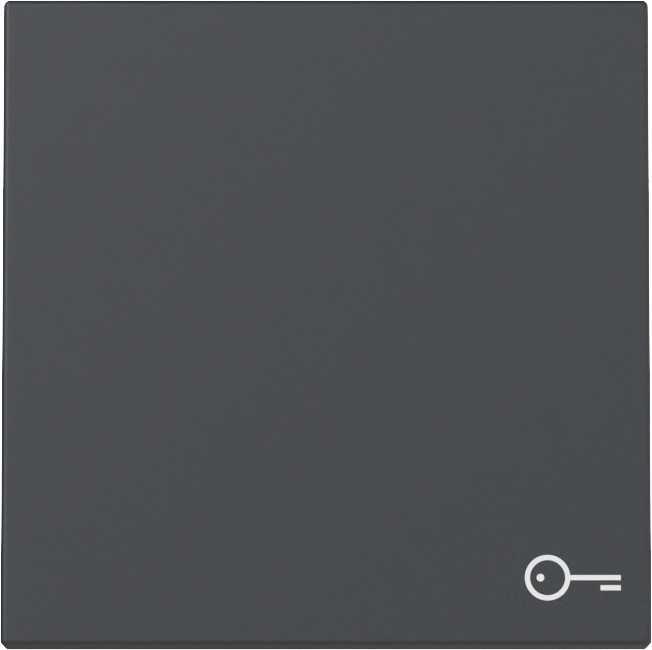 Gira System 55 Across programs Wip SYM.deur system 55 antraciet