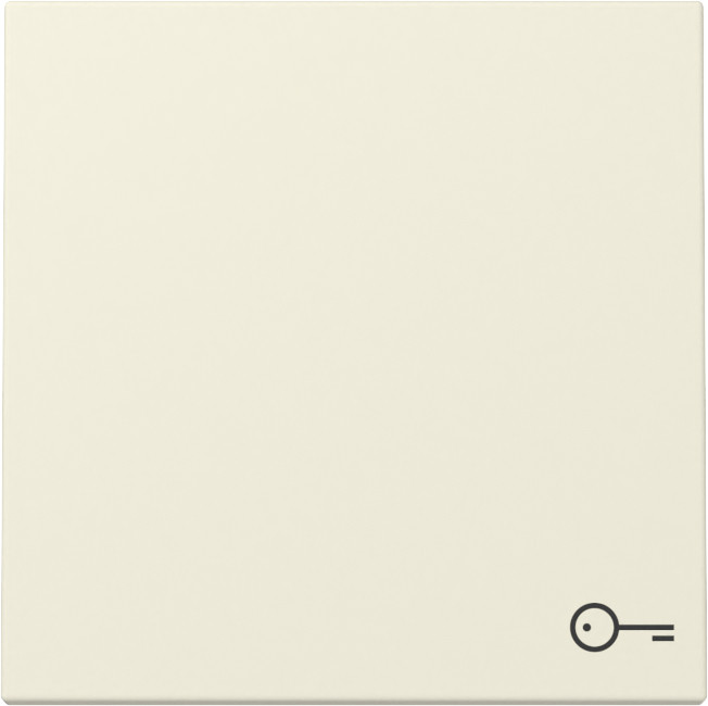 Gira System 55 Across programs Wip SYM.deur system 55 CR.wit