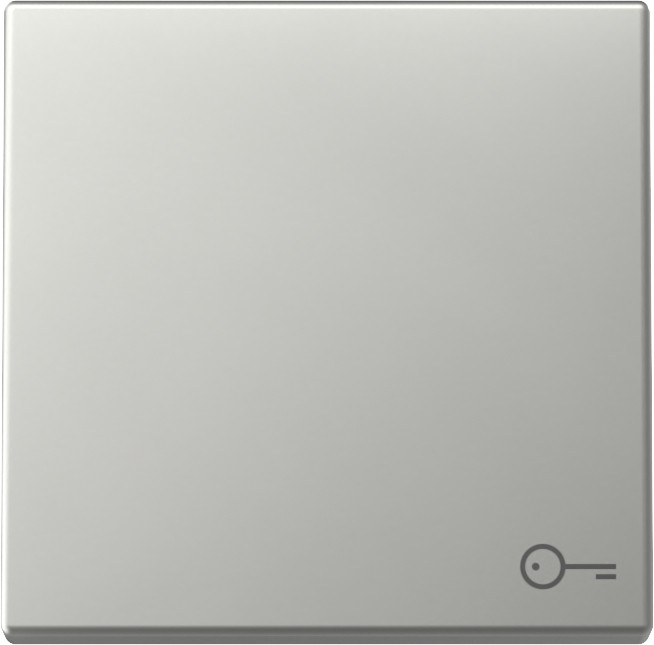 Gira System 55 Across programs Wip SYM.deur system 55 edelstaal