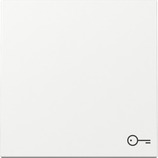 Gira System 55 Across programs Wip SYM.deur system 55 Z.wit