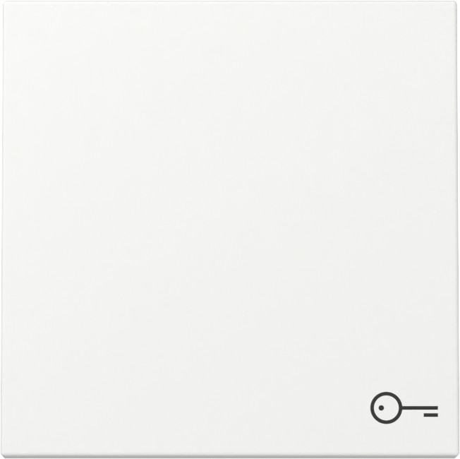 Gira System 55 Across programs Wip SYM.deur system 55 Z.wit M