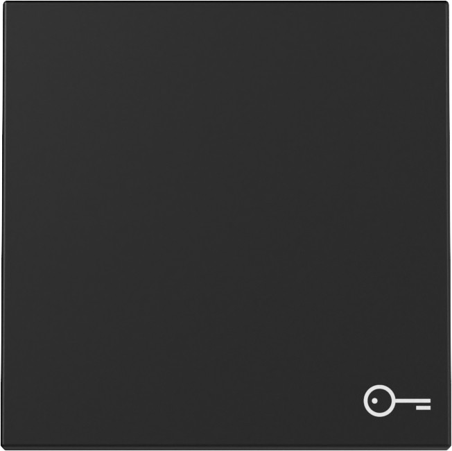 Gira System 55 Across programs Wip SYM.deur system 55 zwart M