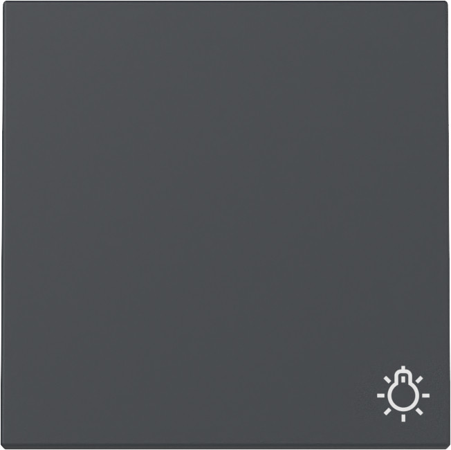 Gira System 55 Across programs Wip SYM.licht system 55 antraciet