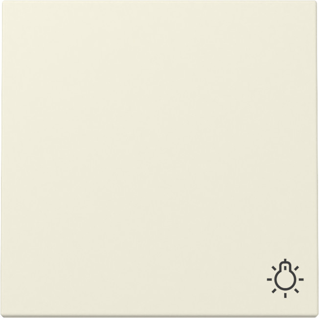 Gira System 55 Across programs Wip SYM.licht system 55 CR.wit