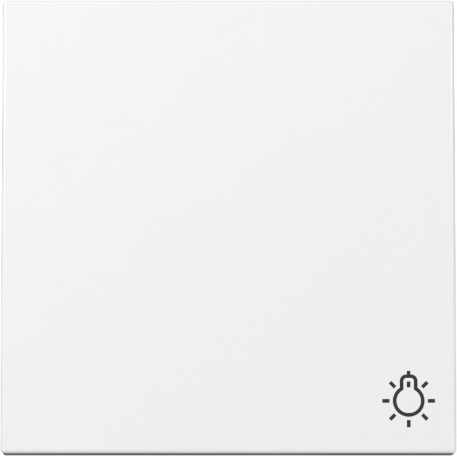 Gira System 55 Across programs Wip SYM.licht system 55 Z.wit