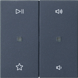 Gira ROCKER 2G AUDIO S55 ANT