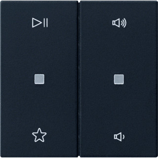Gira ROCKER 2G AUDIO S55 ZMT