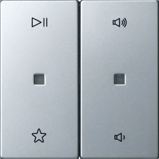 Gira ROCKER 2G AUDIO S55 RVS