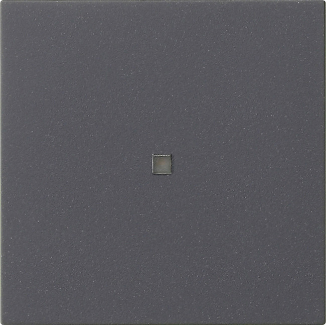 Gira BEDE WIP O CTRLV S55 ANTR