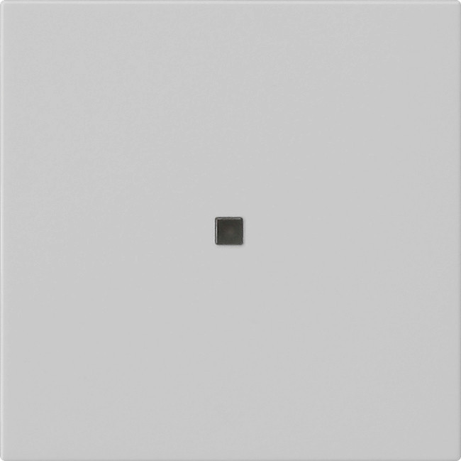 Gira BEDE WIP O CTRLV S55 GRM