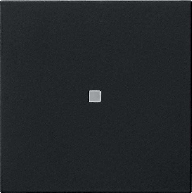 Gira BEDE WIP O CTRLV S55 ZWM