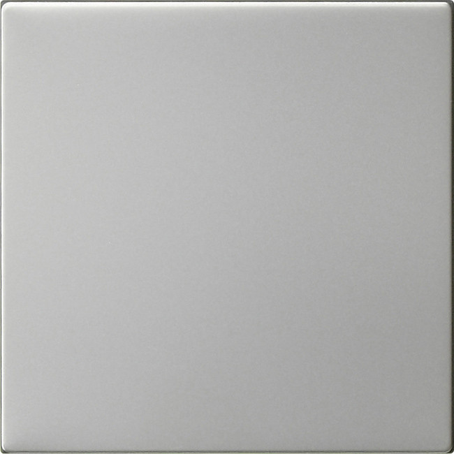 Gira BEDE WIP O S55 EDEL 2600