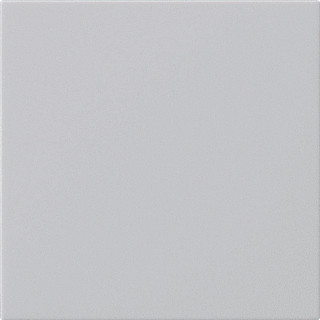 Gira BEDELEM WIP O S55 GRM