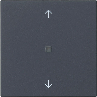 Gira BEDE WIP P CTRLV S55 ANTR