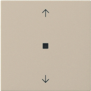 Gira BEDE WIP P CTRLV S55 CRW