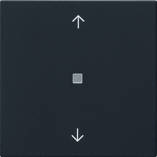 Gira BEDE WIP P CTRLV S55 ZWM