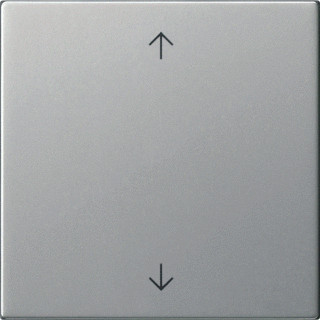 Gira BEDELEM WIP P S55 EDELST