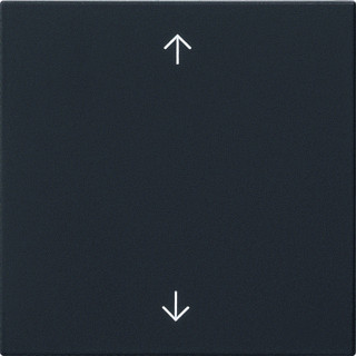 Gira BEDELEM WIP P S55 ZWM