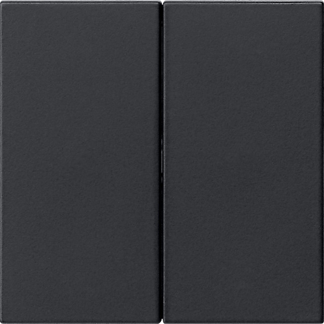 Gira BEDE WIP 2V O S55 ZWM