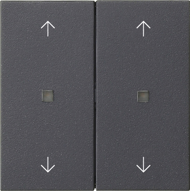 Gira BEDE WIP 2V CTRLV S55 ANT