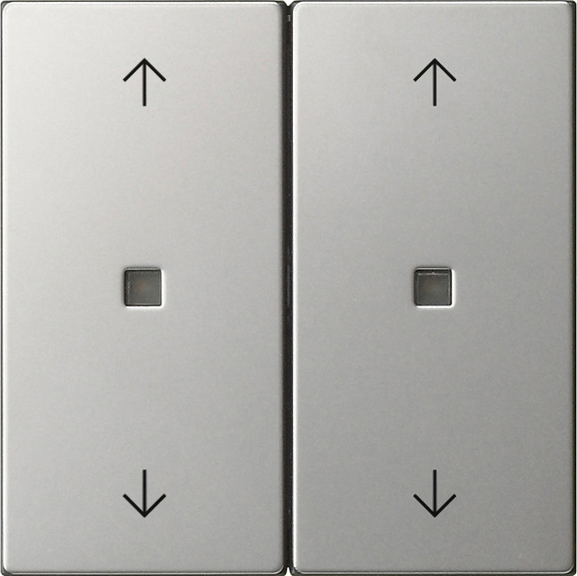 Gira WIP 2V CTRLV S55 EDELST