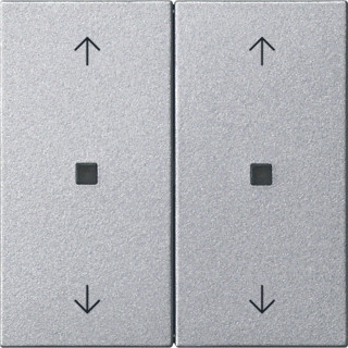 Gira WIP 2V CTRLV S55 KL.ALU